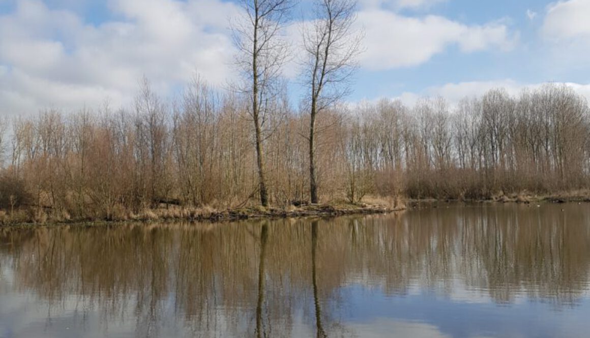 verleden van je ouders