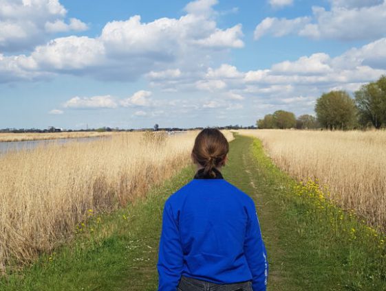 wandelcoaching en kernwaarden