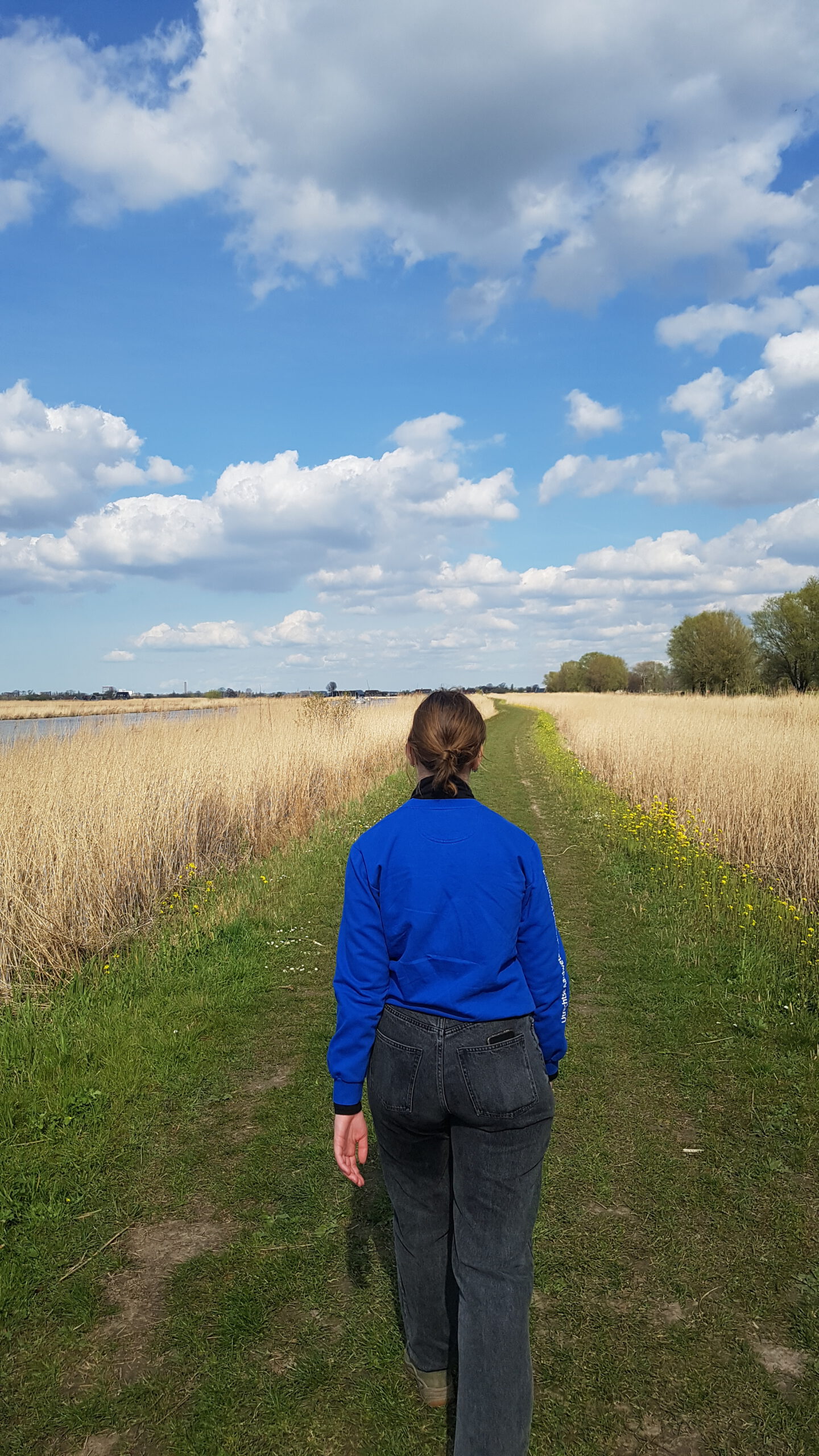 wandelcoaching en kernwaarden