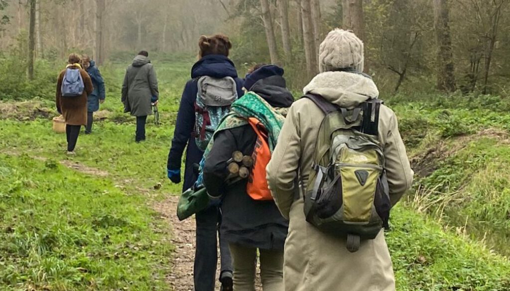 impact van bosbaden op de natuur