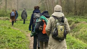 impact van bosbaden op de natuur